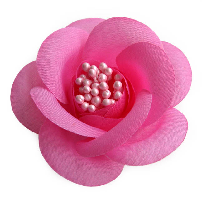 Blossom Blossom