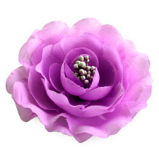 Peony Peony